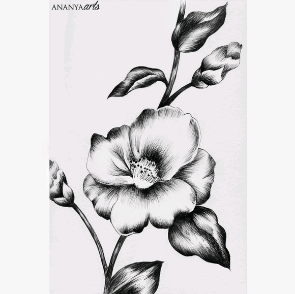 Meet your Posher, Denise - Picture 1 of 1